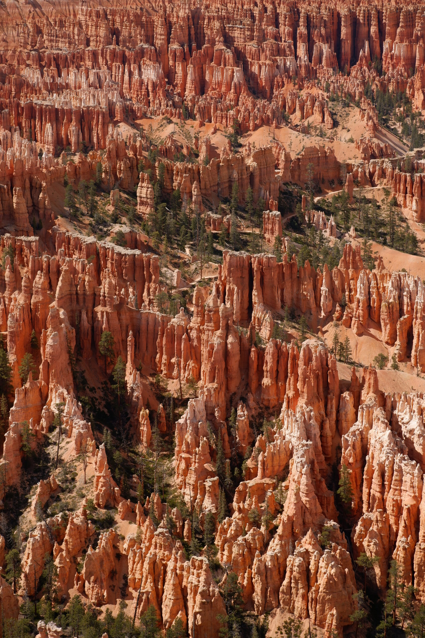 Qué rutas hacer en Zion Canyon y Bryce Canyon