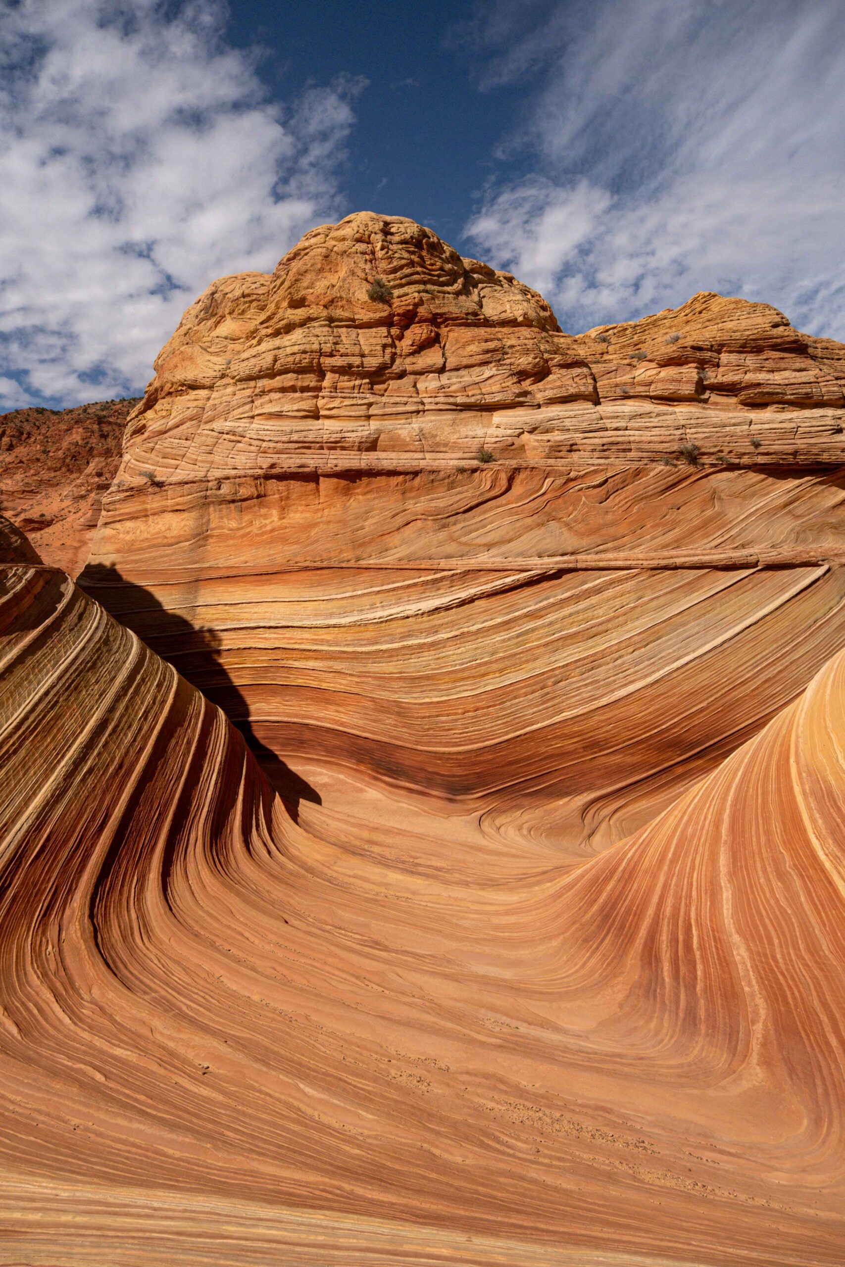 La guía definitiva para visitar the Wave en Arizona.