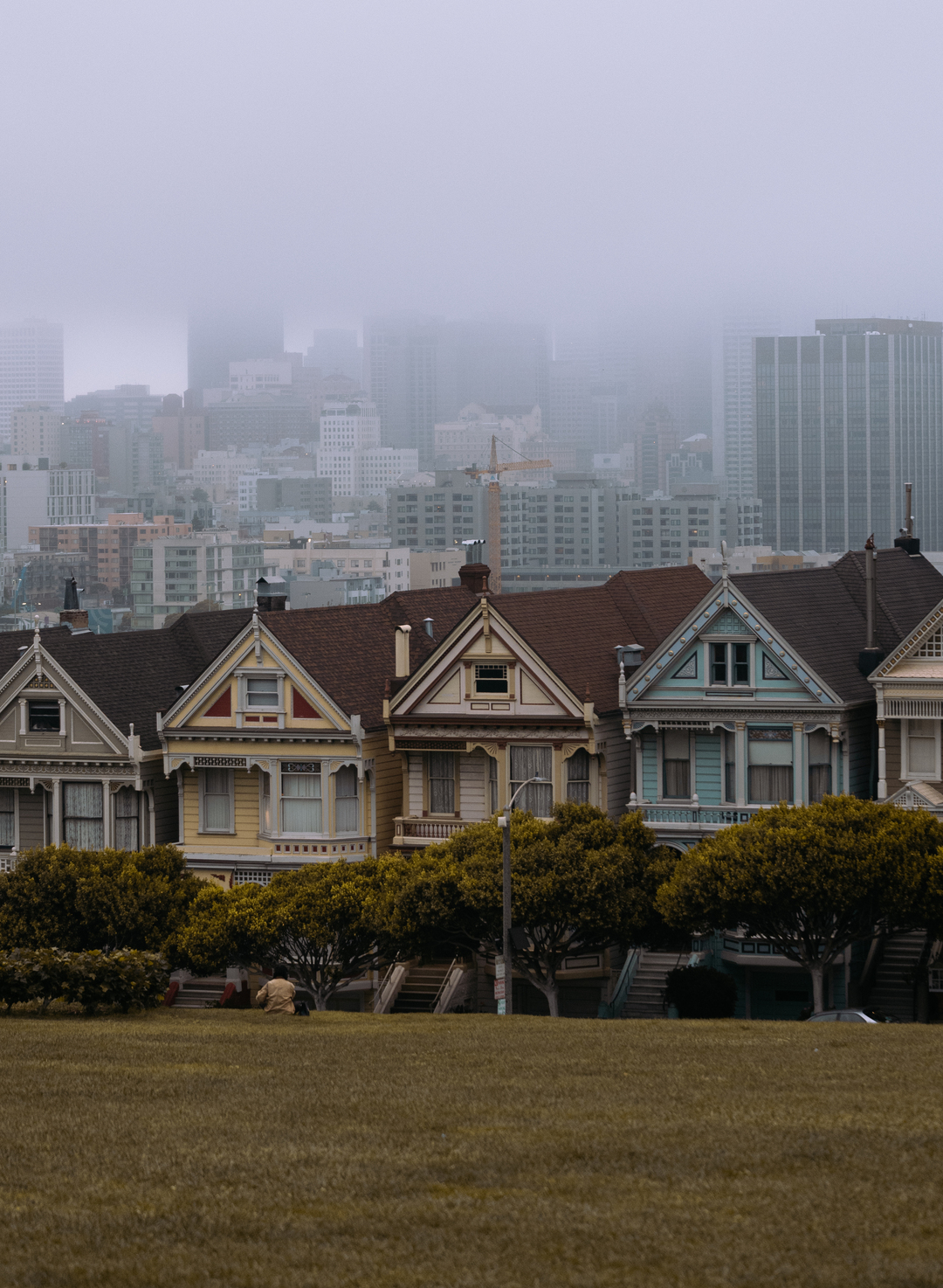 Painted Ladies